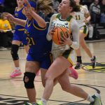 article image - 0201_Larkin_file